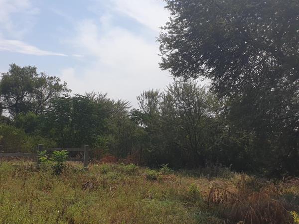 1 ha Land