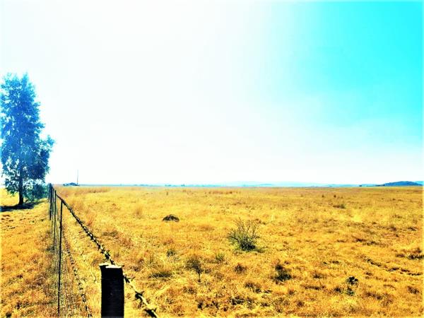 1.3 ha Land