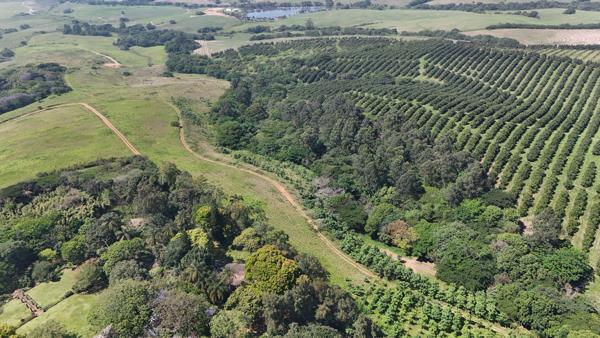 353 m² Land