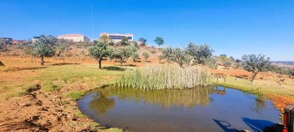 11 ha Farm
