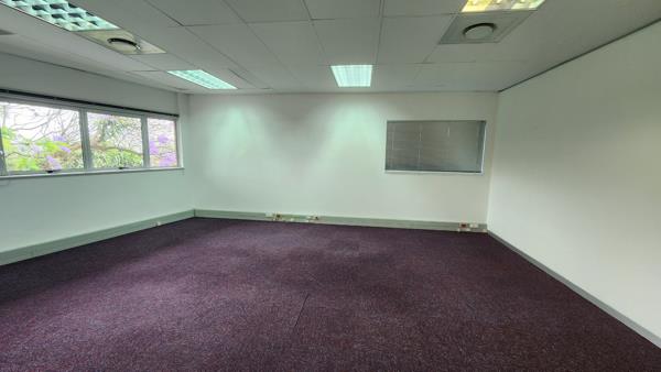 113  m² Office Space