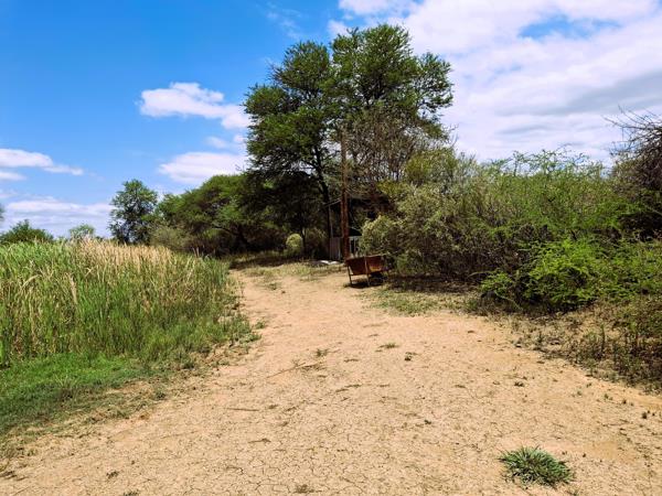 21 ha Smallholding