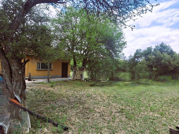 21 ha Smallholding