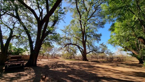 217 ha Farm