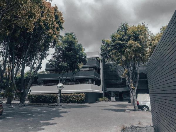 246  m² Office Space