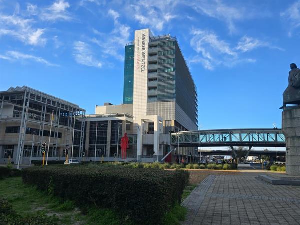 431  m² Office Space