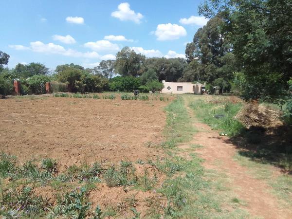 3 850 m² Smallholding