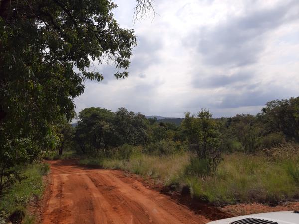 1 ha Land