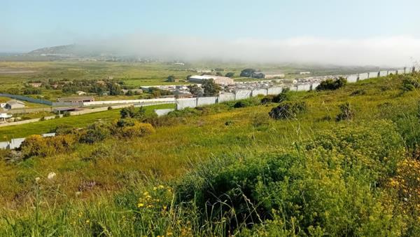 650 m² Land