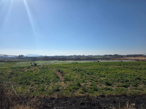 17.5 ha Farm