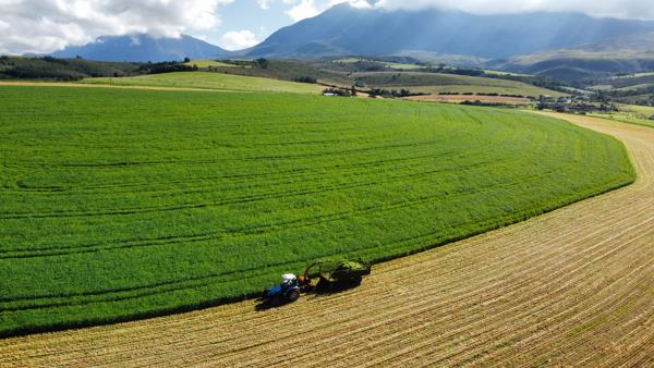 182 ha Farm