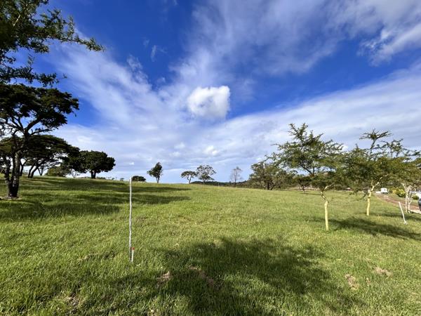 1 378 m² Land