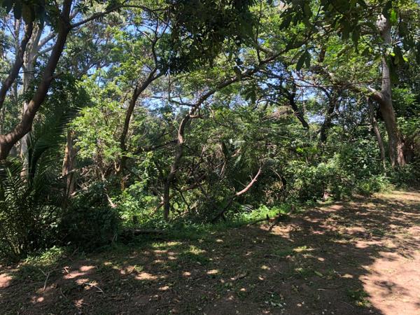 1 589 m² Land