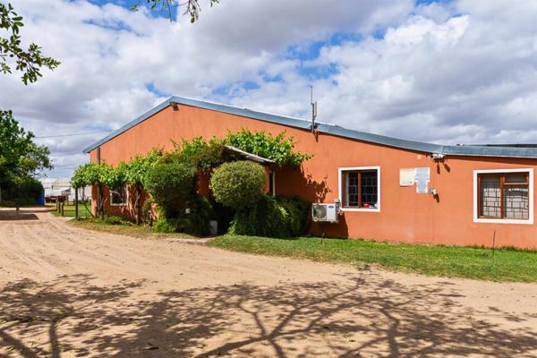 13.3 ha Commercial Farm