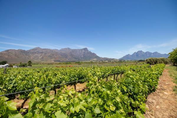 2.8 ha Land
