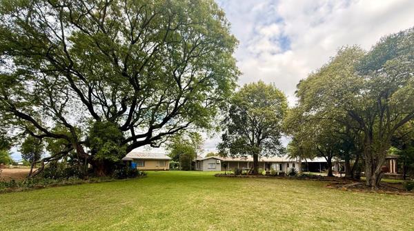 32.6 ha Smallholding