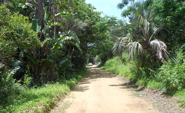 3 595 m² Land