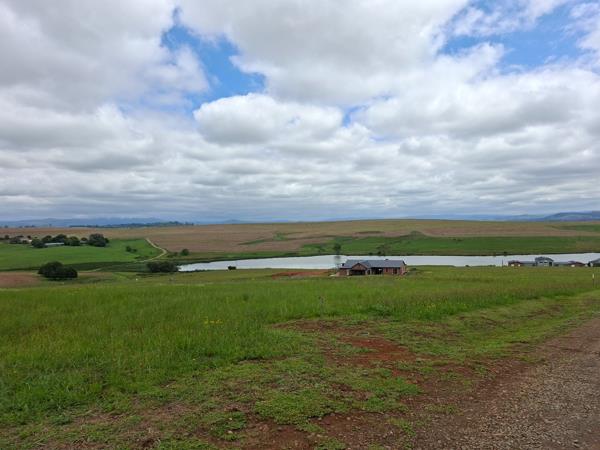 1 ha Land