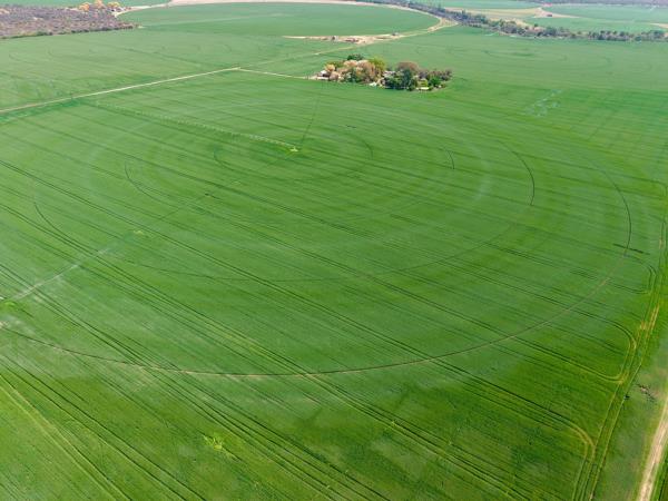 420 ha Farm