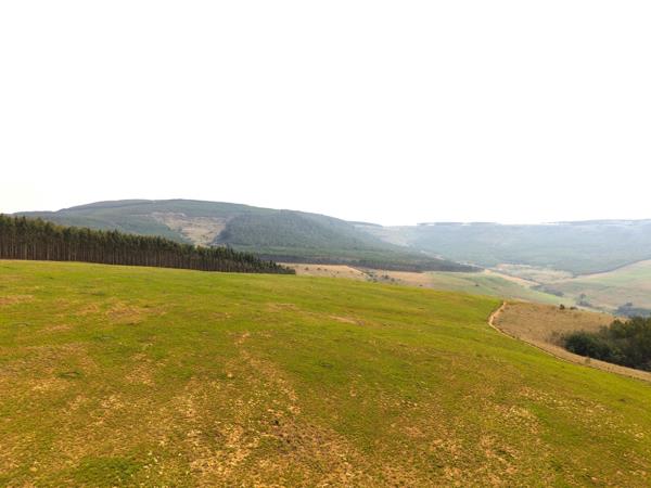 242.8 ha Land