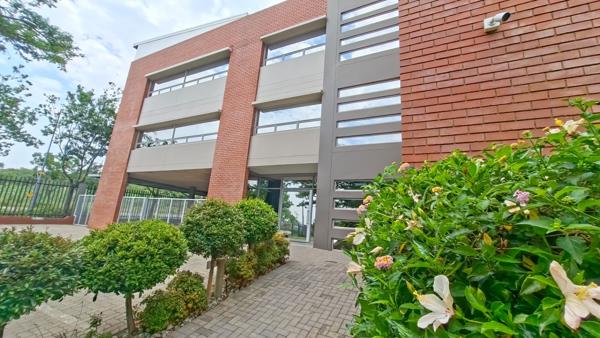 227  m² Office Space