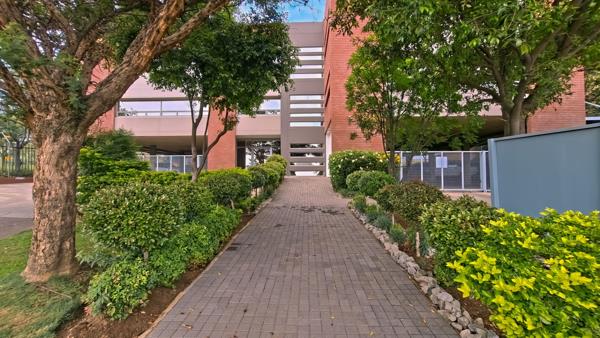 227  m² Office Space