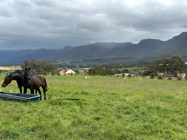 210 ha Agricultural Holding