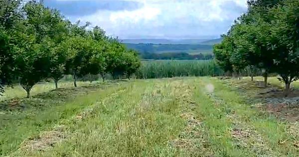 370.9 ha Farm