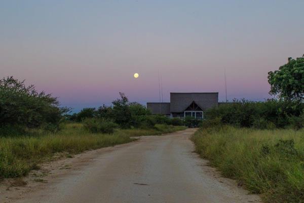 1 ha Land