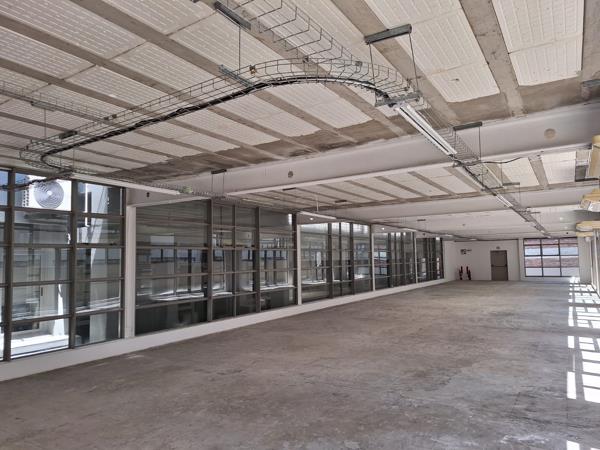 241  m² Commercial space