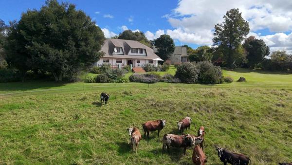 18.5 ha Farm