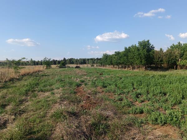 3.7 ha Smallholding