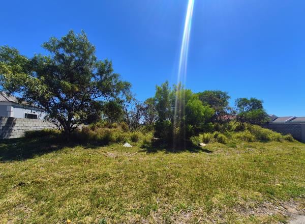 807 m² Land