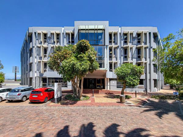 175.5  m² Office Space