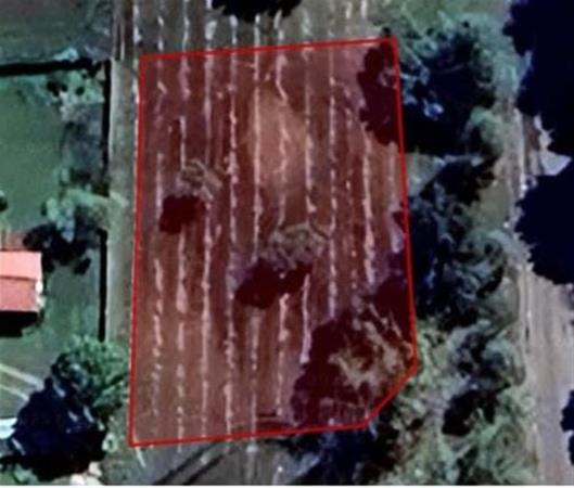 1 203 m² Land