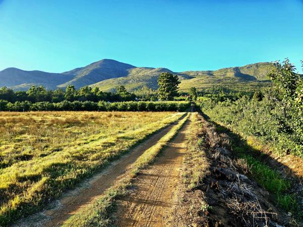 45.6 ha Farm