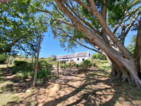 177  m² Retail Space