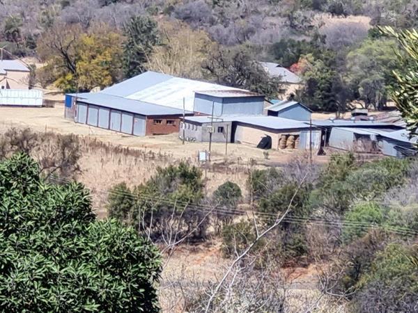 210 ha Farm