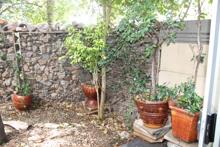 1 Bedroom Garden Cottage