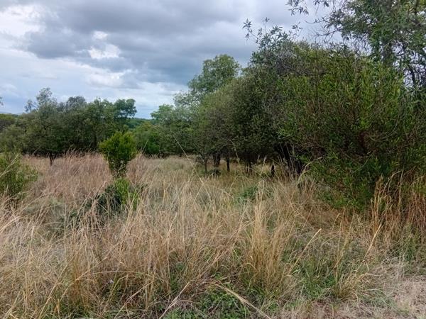 1 197 m² Land
