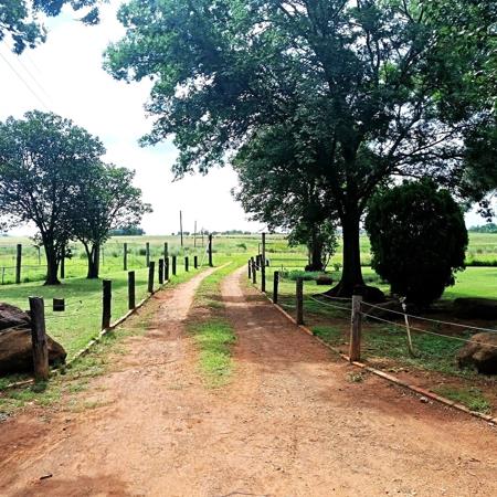 32 ha Farm with House