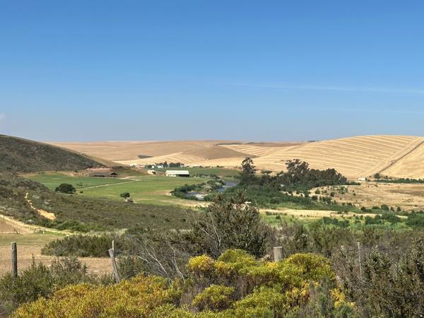 250 ha Commercial Farm