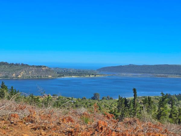 10 ha Smallholding