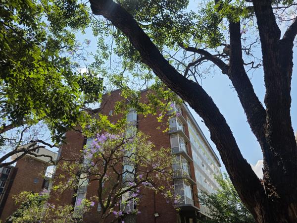 400  m² Commercial space