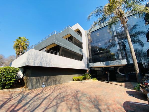 77  m² Office Space