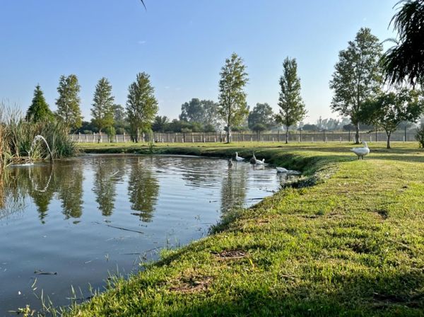 705 m² Land