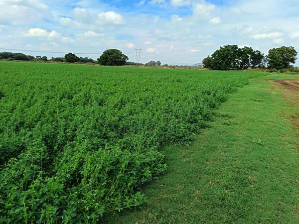 35.9 ha Farm