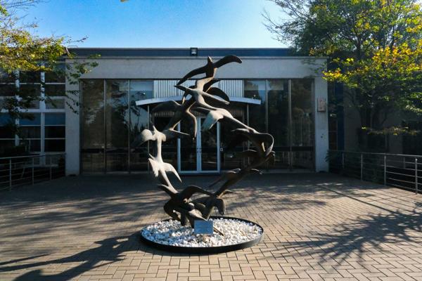 21  m² Office Space