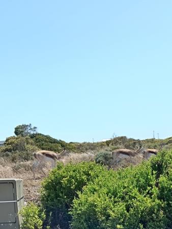890 m² Land