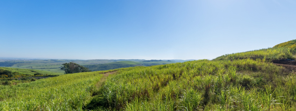 965 m² Land